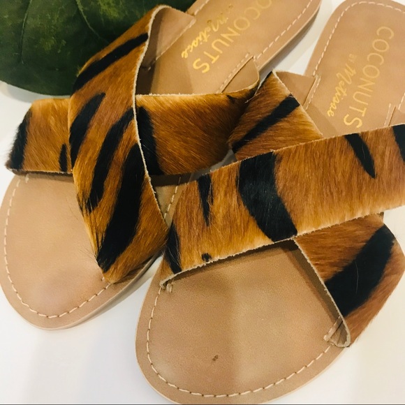 Coconuts by Matisse Shoes Newcoconuts By Matisse Leopard Slip On
